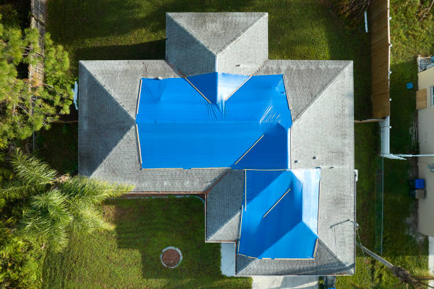 Best Steel Roofing  in Golden Gate, FL