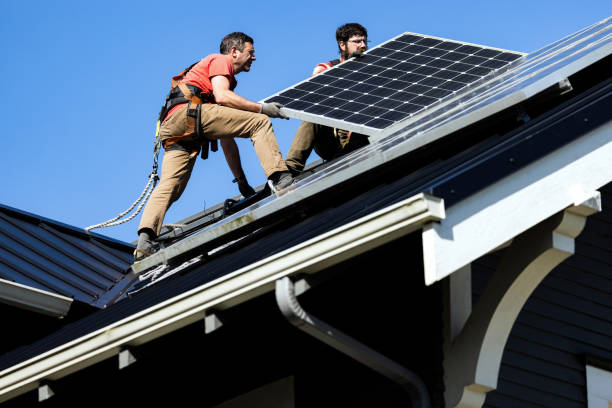 Best Roof Moss and Algae Removal  in Golden Gate, FL